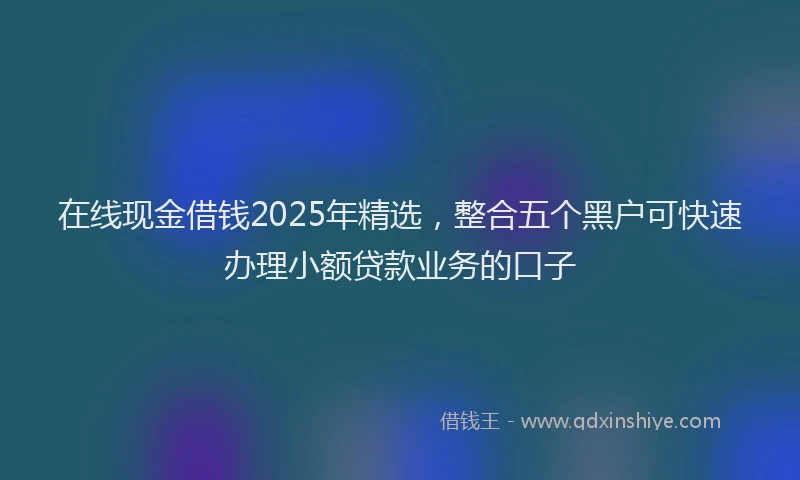在线现金借钱2025年精选，整合五个黑户可快速办理小额贷款业务的口子