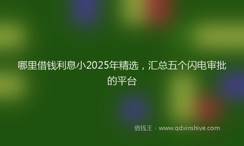 哪里借钱利息小2025年精选，汇总五个闪电审批的平台