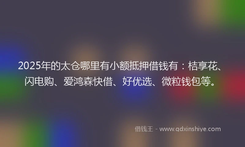 2025年的太仓哪里有小额抵押借钱有：桔享花、闪电购、爱鸿森快借、好优选、微粒钱包等。