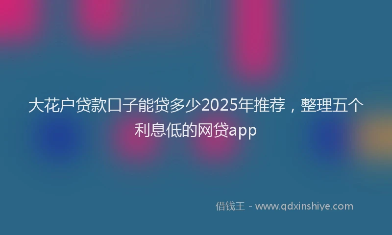大花户贷款口子能贷多少2025年推荐，整理五个利息低的网贷app