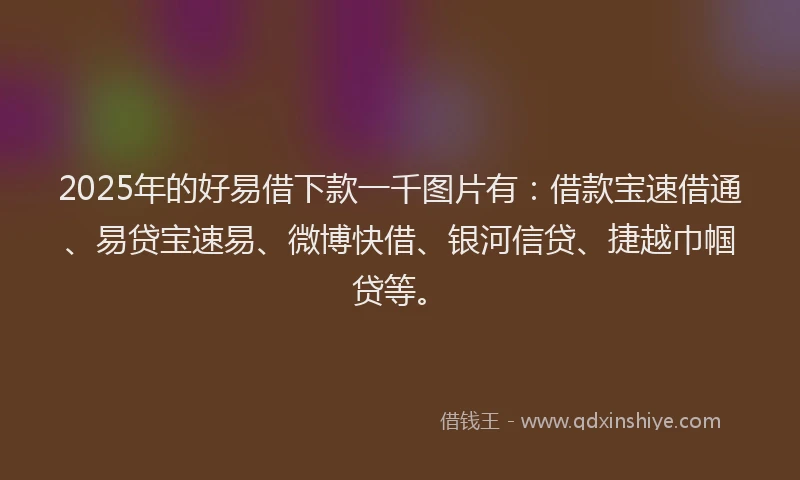 2025年的好易借下款一千图片有：借款宝速借通、易贷宝速易、微博快借、银河信贷、捷越巾帼贷等。