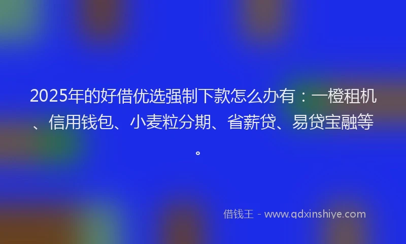 2025年的好借优选强制下款怎么办有：一橙租机、信用钱包、小麦粒分期、省薪贷、易贷宝融等。