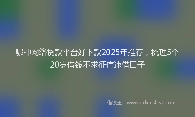 哪种网络贷款平台好下款2025年推荐，梳理5个20岁借钱不求征信速借口子