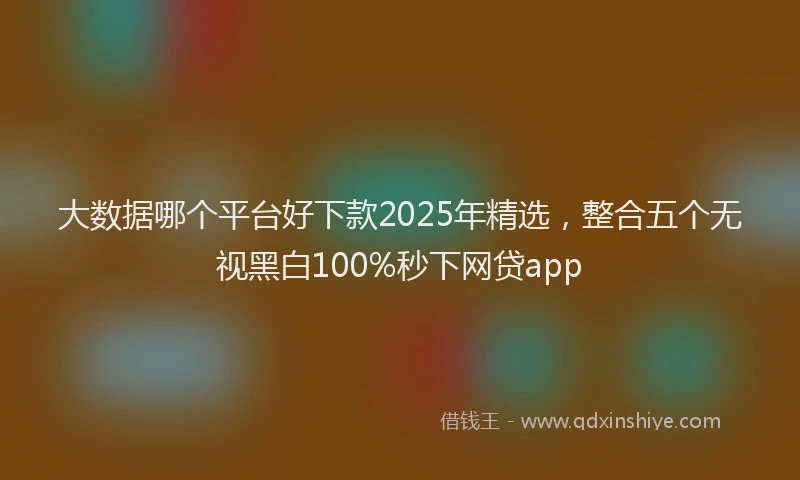 大数据哪个平台好下款2025年精选，整合五个无视黑白100%秒下网贷app