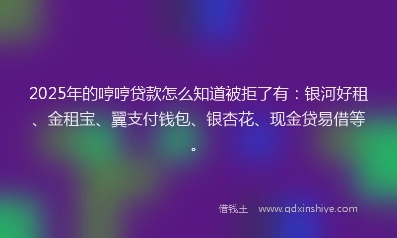 2025年的哼哼贷款怎么知道被拒了有：银河好租、金租宝、翼支付钱包、银杏花、现金贷易借等。