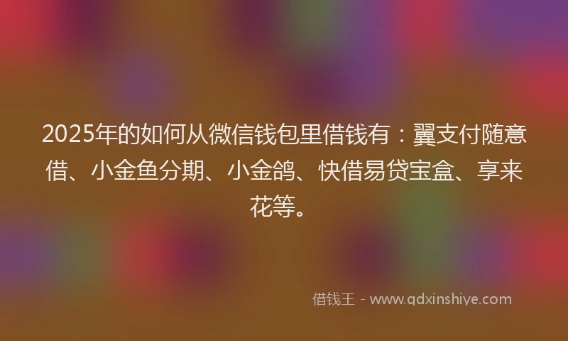 2025年的如何从微信钱包里借钱有：翼支付随意借、小金鱼分期、小金鸽、快借易贷宝盒、享来花等。