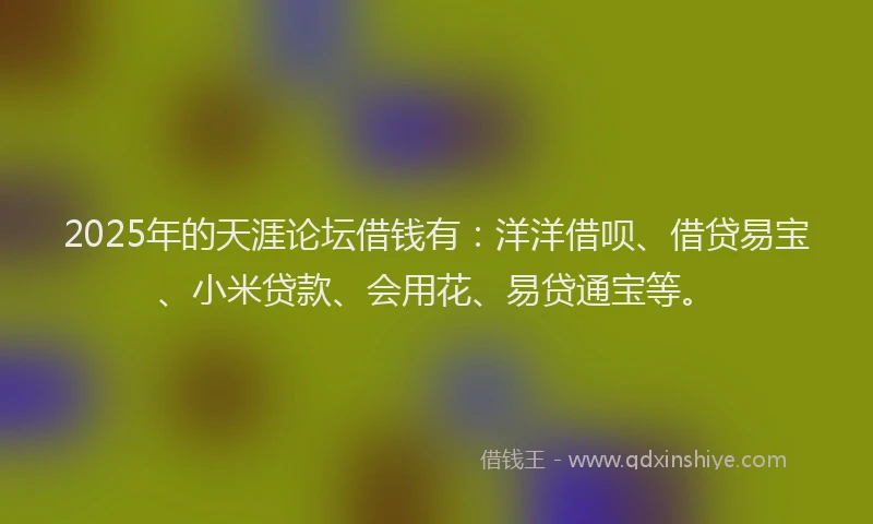 2025年的天涯论坛借钱有：洋洋借呗、借贷易宝、小米贷款、会用花、易贷通宝等。