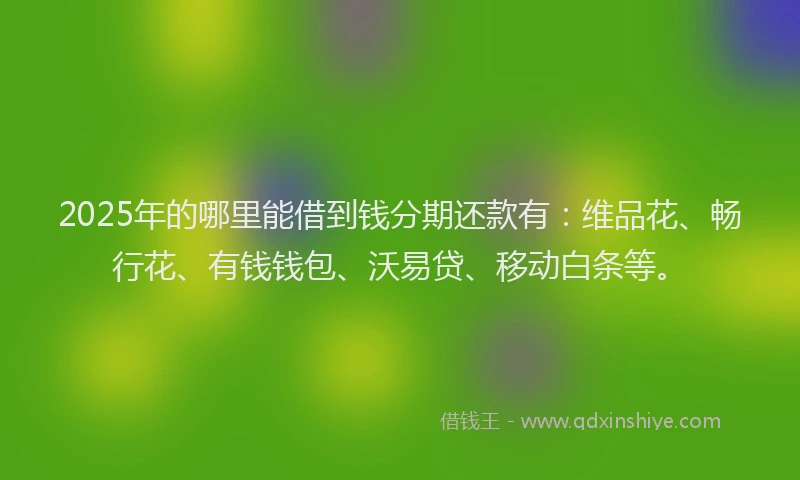 2025年的哪里能借到钱分期还款有：维品花、畅行花、有钱钱包、沃易贷、移动白条等。