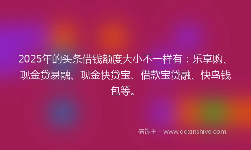 2025年的头条借钱额度大小不一样有：乐享购、现金贷易融、现金快贷宝、借款宝贷融、快鸟钱包等。