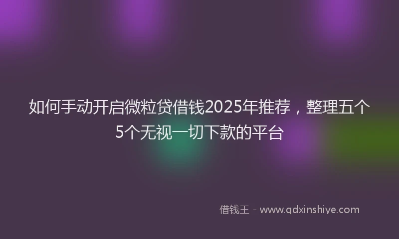 如何手动开启微粒贷借钱2025年推荐，整理五个5个无视一切下款的平台