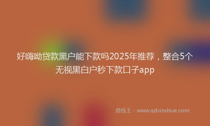 好嗨呦贷款黑户能下款吗2025年推荐，整合5个无视黑白户秒下款口子app