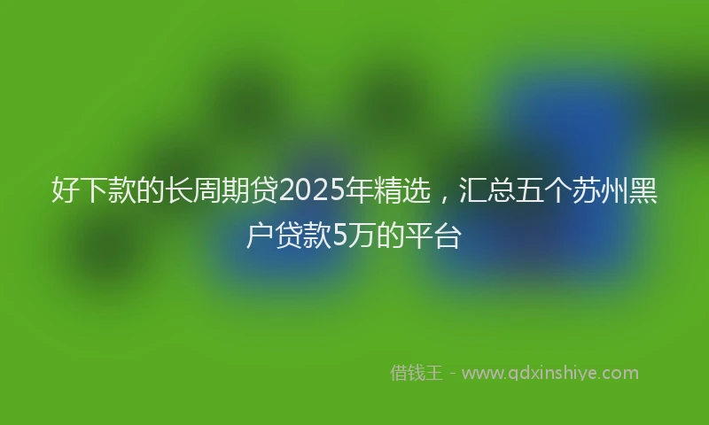 好下款的长周期贷2025年精选，汇总五个苏州黑户贷款5万的平台