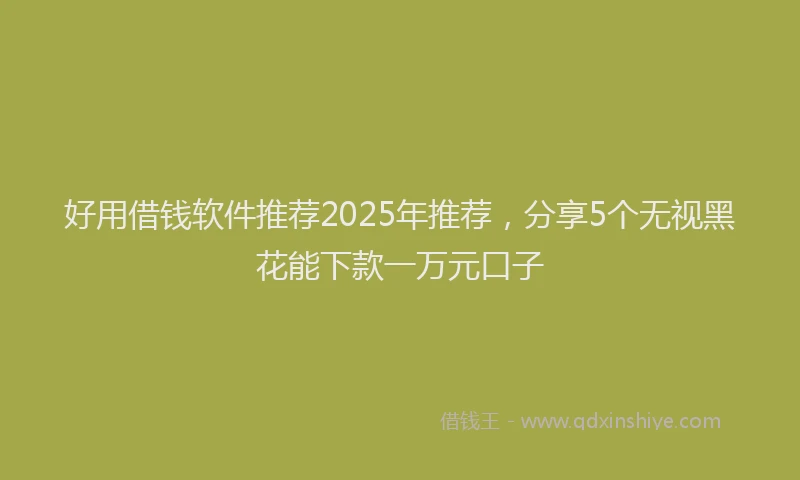 好用借钱软件推荐2025年推荐，分享5个无视黑花能下款一万元口子