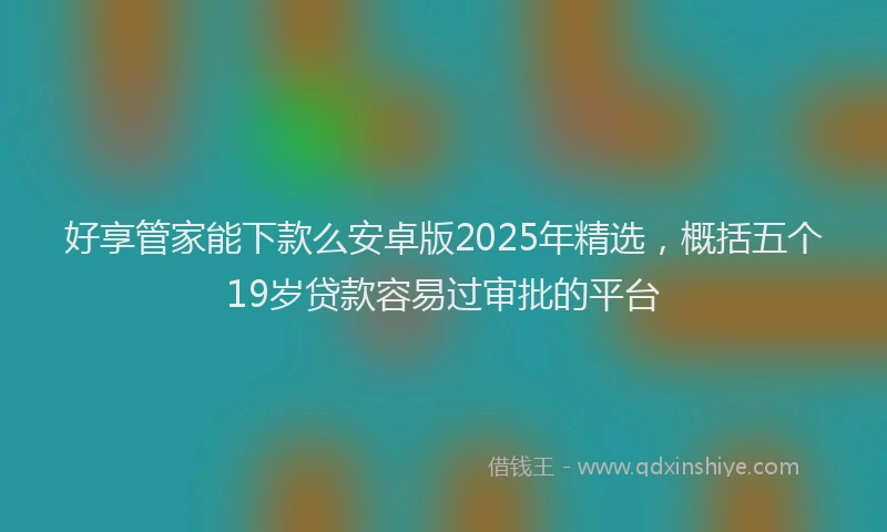 好享管家能下款么安卓版2025年精选，概括五个19岁贷款容易过审批的平台