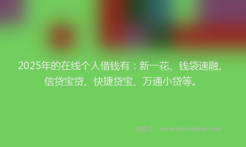 2025年的在线个人借钱有：新一花、钱袋速融、信贷宝贷、快捷贷宝、万通小贷等。