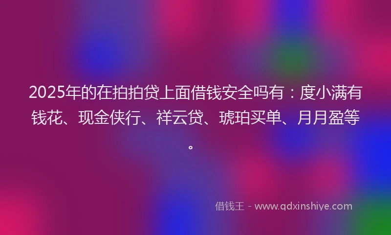 2025年的在拍拍贷上面借钱安全吗有：度小满有钱花、现金侠行、祥云贷、琥珀买单、月月盈等。