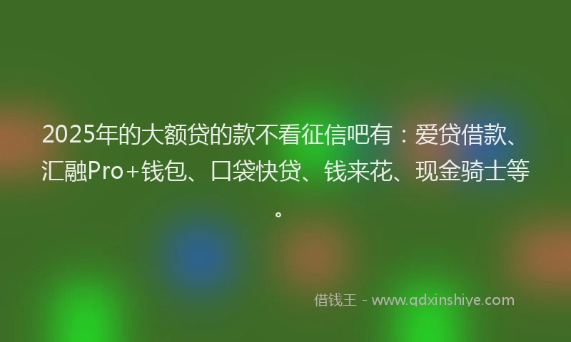 2025年的大额贷的款不看征信吧有：爱贷借款、汇融Pro+钱包、口袋快贷、钱来花、现金骑士等。