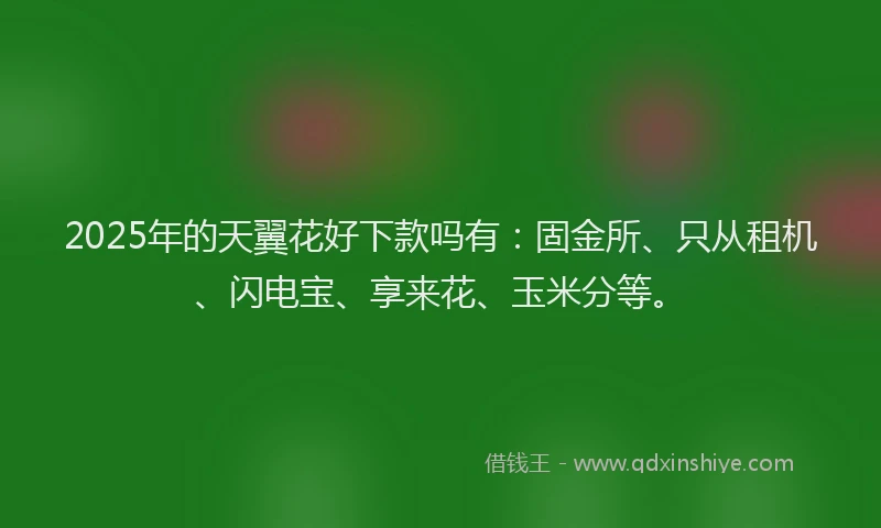 2025年的天翼花好下款吗有：固金所、只从租机、闪电宝、享来花、玉米分等。
