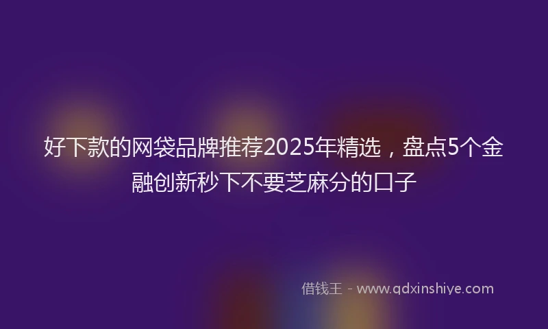 好下款的网袋品牌推荐2025年精选，盘点5个金融创新秒下不要芝麻分的口子