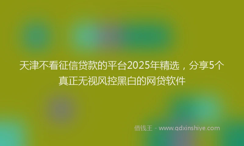天津不看征信贷款的平台2025年精选，分享5个真正无视风控黑白的网贷软件