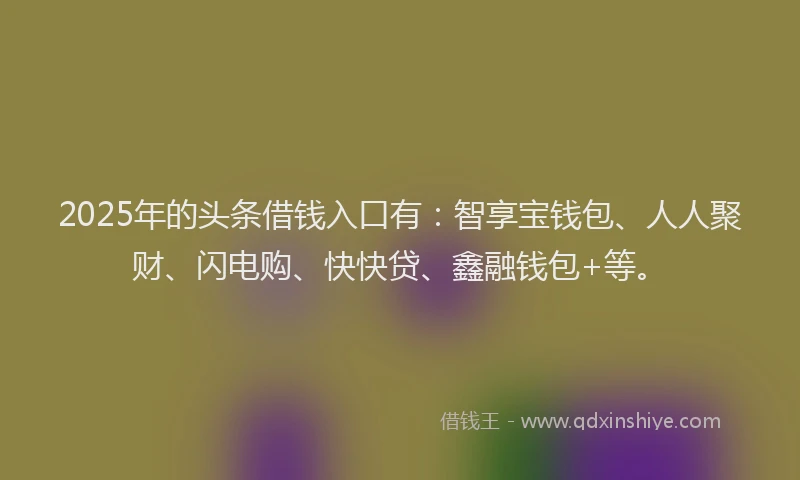 2025年的头条借钱入口有：智享宝钱包、人人聚财、闪电购、快快贷、鑫融钱包+等。