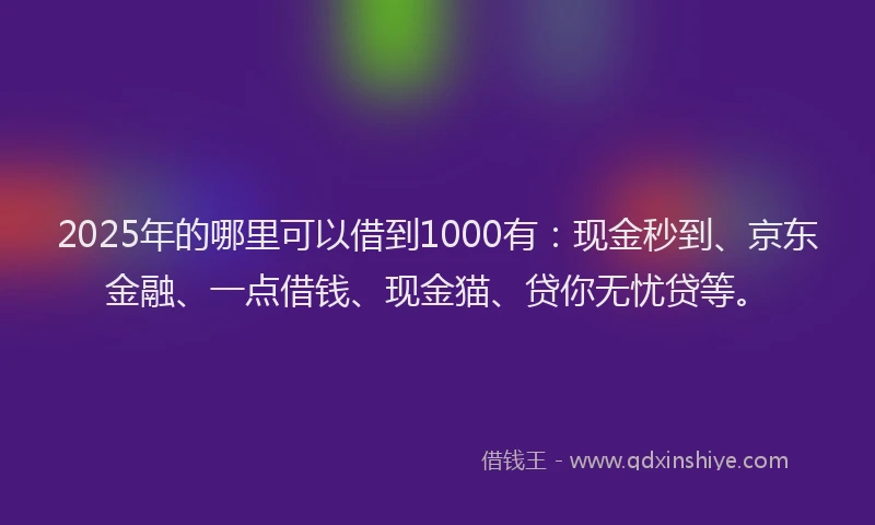 2025年的哪里可以借到1000有：现金秒到、京东金融、一点借钱、现金猫、贷你无忧贷等。