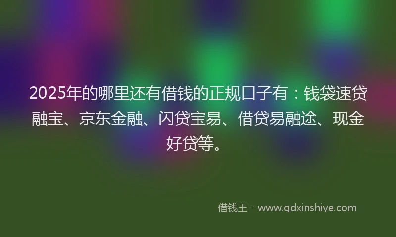 2025年的哪里还有借钱的正规口子有：钱袋速贷融宝、京东金融、闪贷宝易、借贷易融途、现金好贷等。