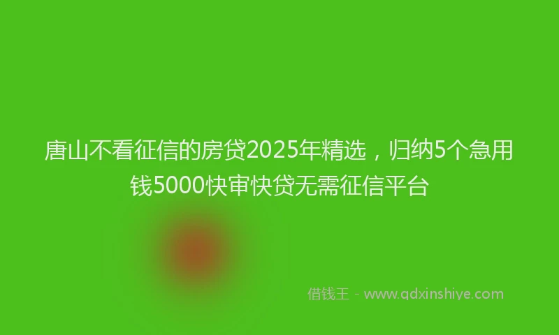 唐山不看征信的房贷2025年精选，归纳5个急用钱5000快审快贷无需征信平台