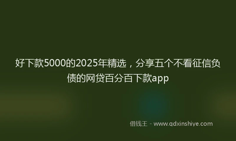好下款5000的2025年精选，分享五个不看征信负债的网贷百分百下款app