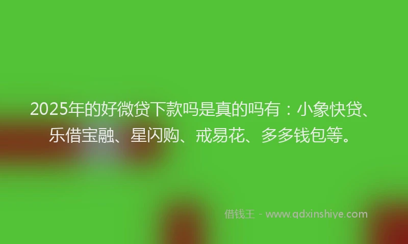 2025年的好微贷下款吗是真的吗有：小象快贷、乐借宝融、星闪购、戒易花、多多钱包等。