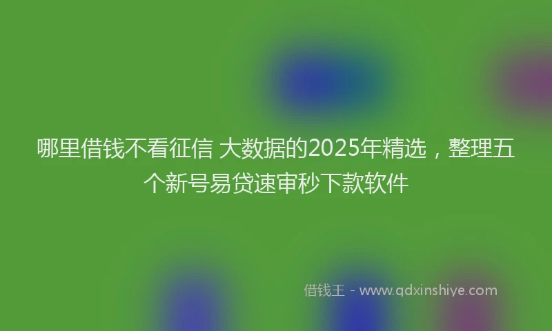 哪里借钱不看征信 大数据的2025年精选，整理五个新号易贷速审秒下款软件