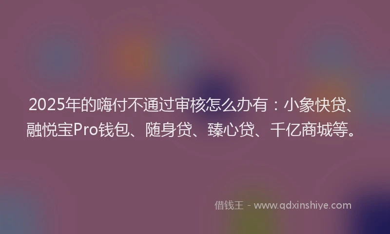 2025年的嗨付不通过审核怎么办有：小象快贷、融悦宝Pro钱包、随身贷、臻心贷、千亿商城等。