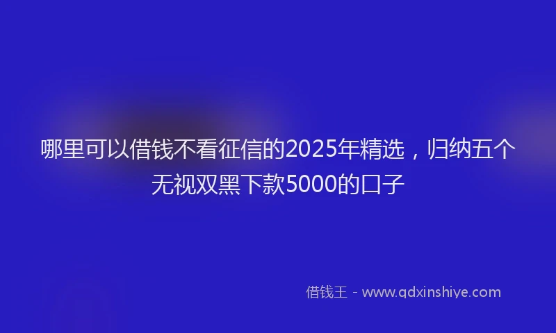 哪里可以借钱不看征信的2025年精选，归纳五个无视双黑下款5000的口子