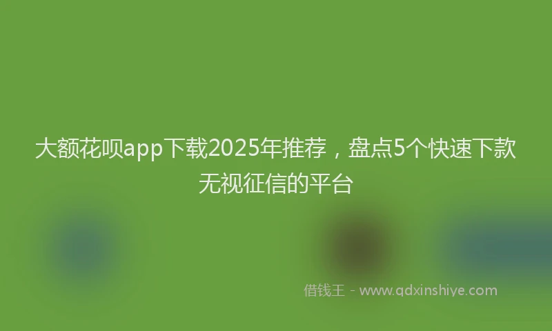 大额花呗app下载2025年推荐，盘点5个快速下款无视征信的平台