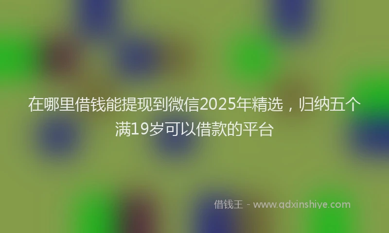 在哪里借钱能提现到微信2025年精选，归纳五个满19岁可以借款的平台