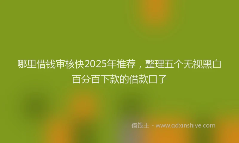 哪里借钱审核快2025年推荐，整理五个无视黑白百分百下款的借款口子