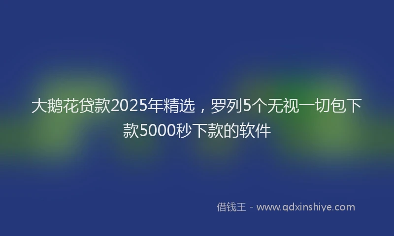 大鹅花贷款2025年精选，罗列5个无视一切包下款5000秒下款的软件