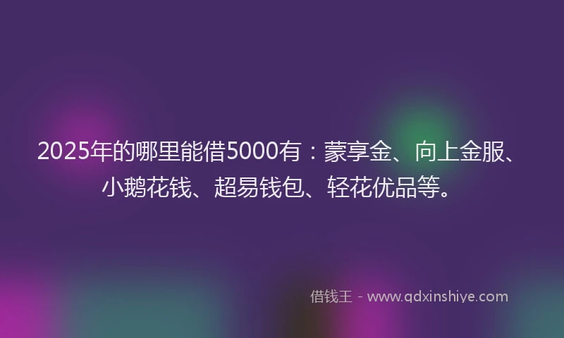 2025年的哪里能借5000有：蒙享金、向上金服、小鹅花钱、超易钱包、轻花优品等。