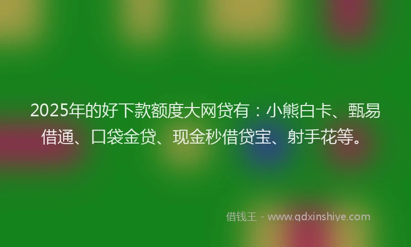 2025年的好下款额度大网贷有：小熊白卡、甄易借通、口袋金贷、现金秒借贷宝、射手花等。