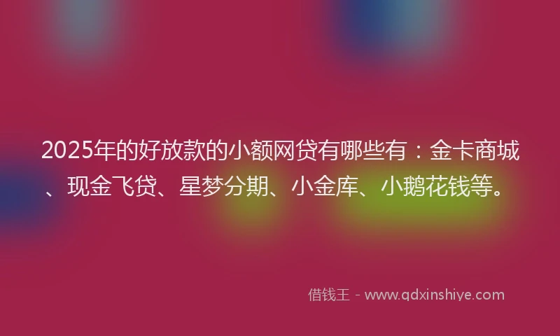 2025年的好放款的小额网贷有哪些有：金卡商城、现金飞贷、星梦分期、小金库、小鹅花钱等。
