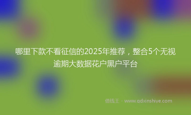 哪里下款不看征信的2025年推荐，整合5个无视逾期大数据花户黑户平台