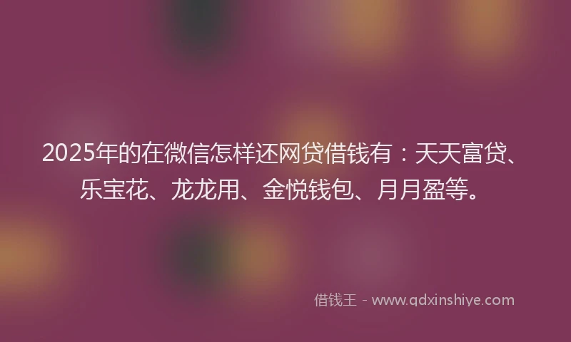 2025年的在微信怎样还网贷借钱有：天天富贷、乐宝花、龙龙用、金悦钱包、月月盈等。