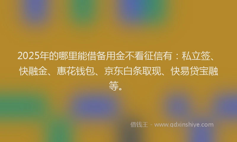 2025年的哪里能借备用金不看征信有：私立签、快融金、惠花钱包、京东白条取现、快易贷宝融等。