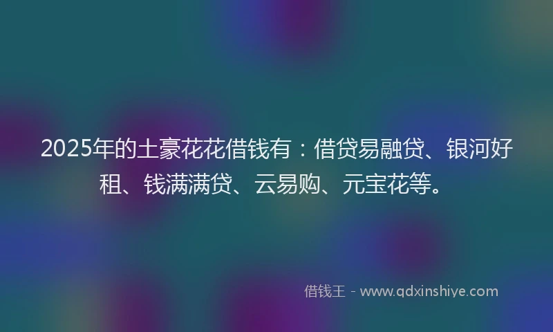2025年的土豪花花借钱有：借贷易融贷、银河好租、钱满满贷、云易购、元宝花等。
