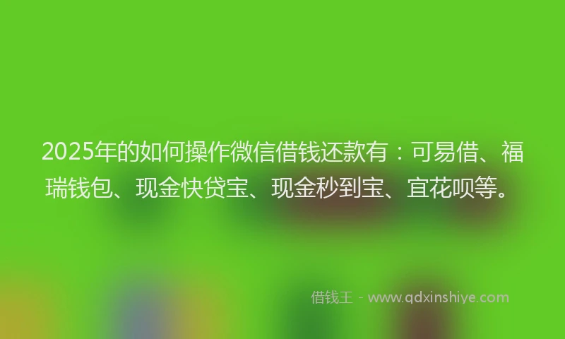 2025年的如何操作微信借钱还款有：可易借、福瑞钱包、现金快贷宝、现金秒到宝、宜花呗等。