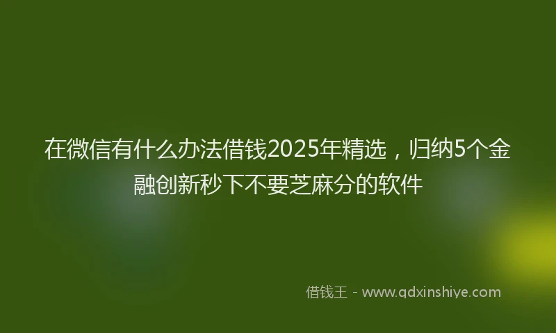 在微信有什么办法借钱2025年精选，归纳5个金融创新秒下不要芝麻分的软件