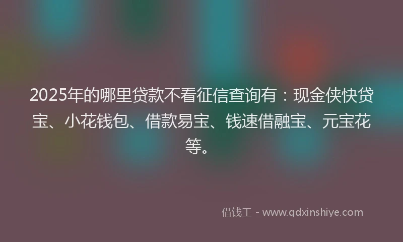 2025年的哪里贷款不看征信查询有：现金侠快贷宝、小花钱包、借款易宝、钱速借融宝、元宝花等。