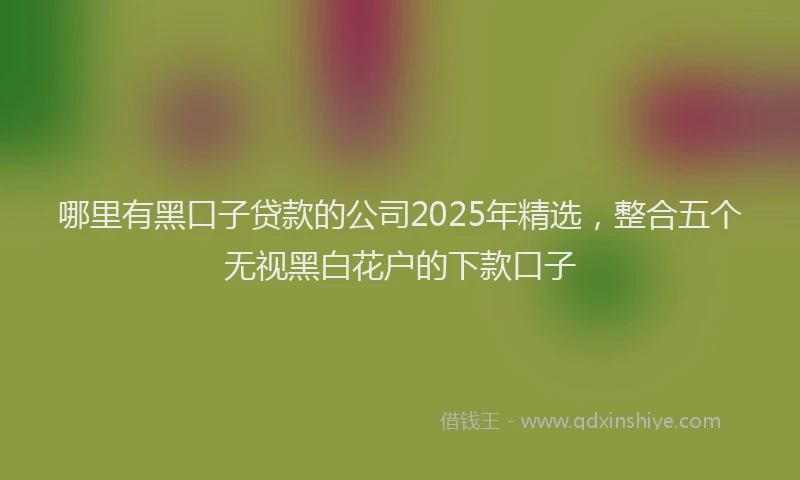 哪里有黑口子贷款的公司2025年精选，整合五个无视黑白花户的下款口子