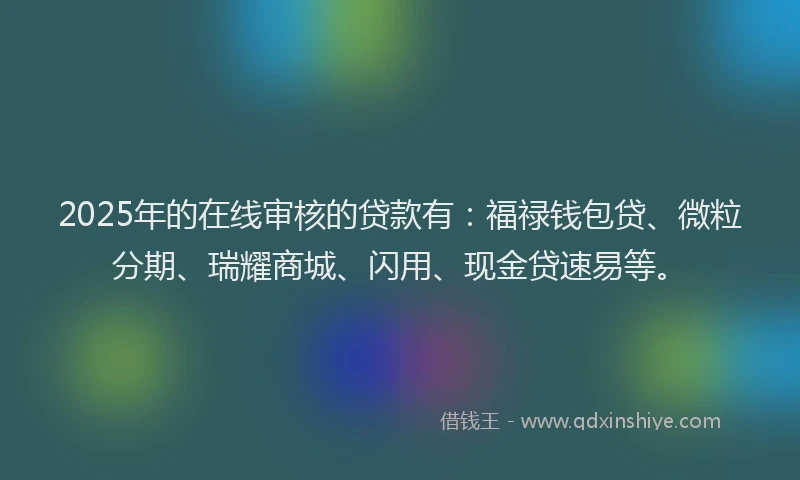 2025年的在线审核的贷款有：福禄钱包贷、微粒分期、瑞耀商城、闪用、现金贷速易等。