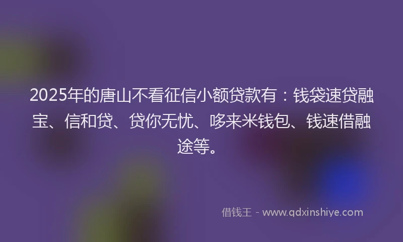2025年的唐山不看征信小额贷款有：钱袋速贷融宝、信和贷、贷你无忧、哆来米钱包、钱速借融途等。